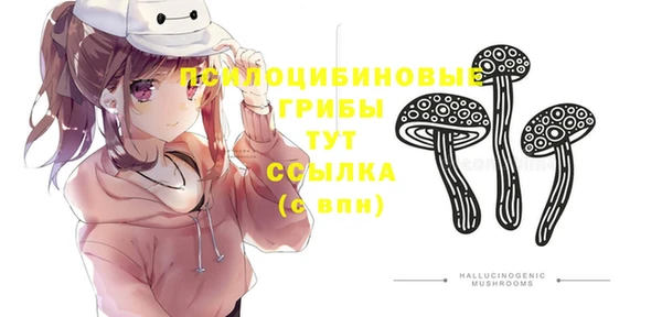 метадон Арсеньев
