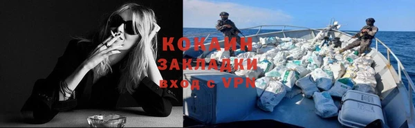 a pvp Пересвет
