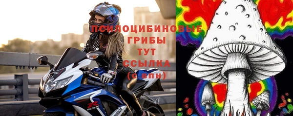 PSILOCYBIN Аркадак